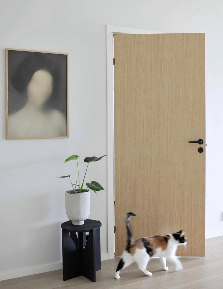 Kompakt-Eli-e1679389250680