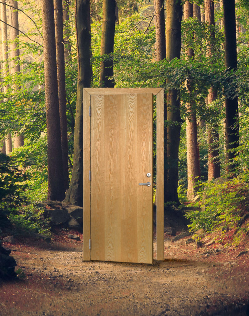 Skogbilde-scaled-e1705479106115-807x1024