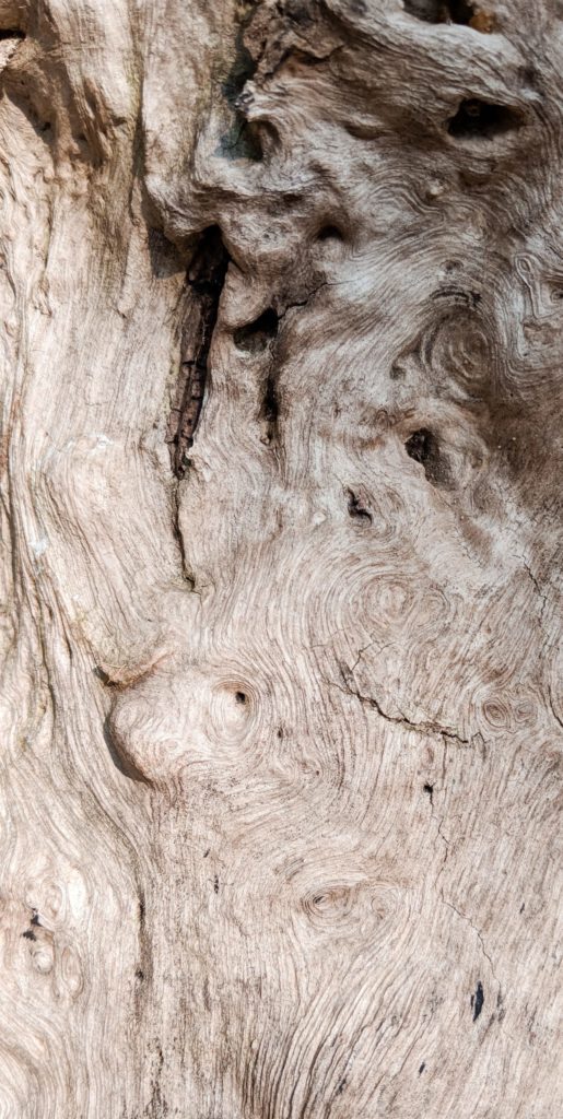 w-fTezlcgHC64-unsplash-scaled-e1702970693877-515x1024