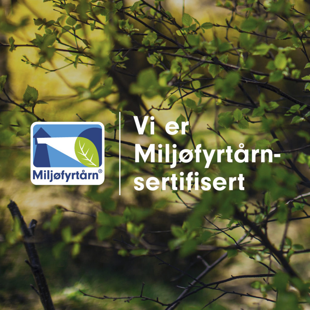 main large-9-1024x1024