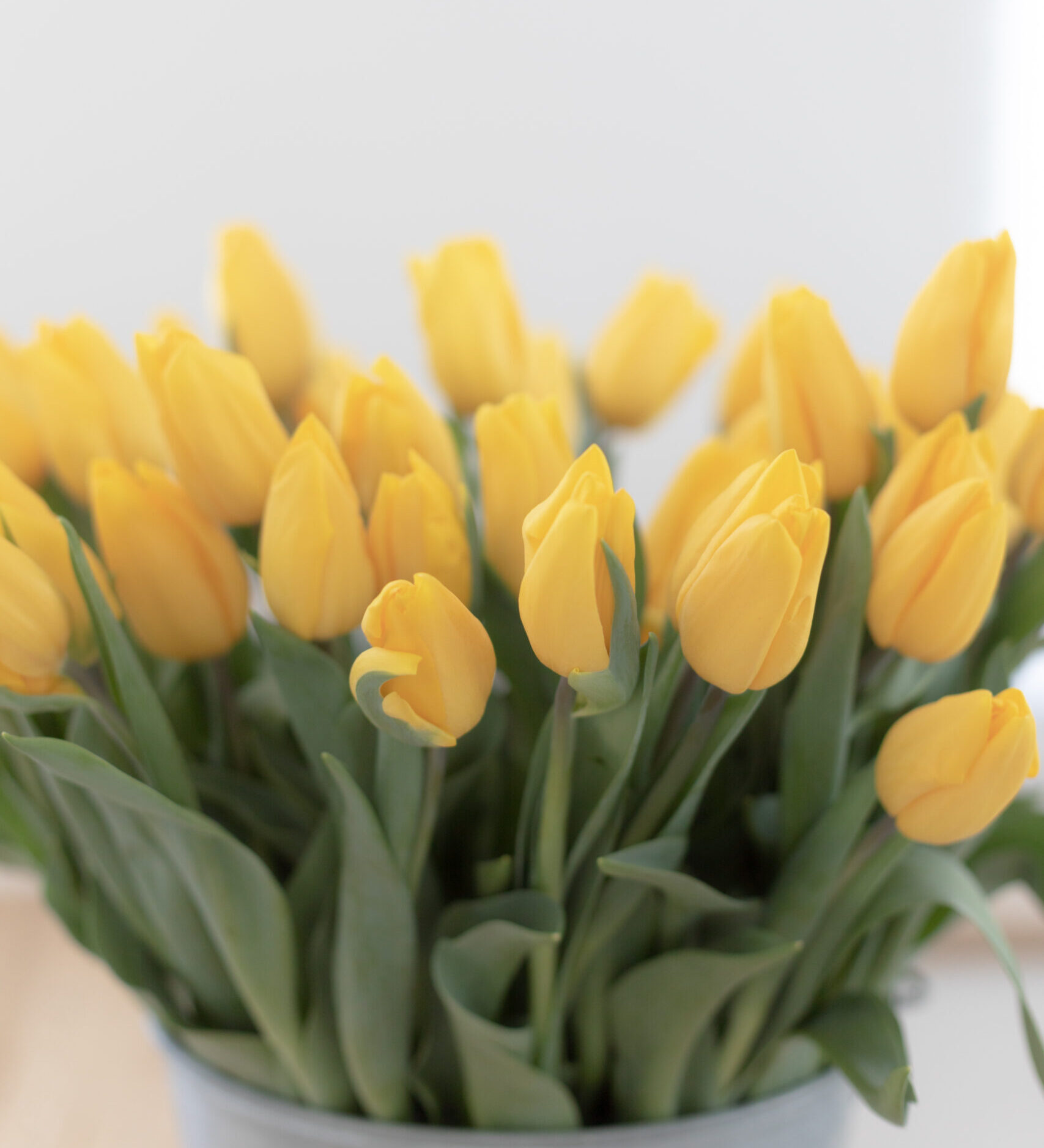 Åpningstider påske 2026